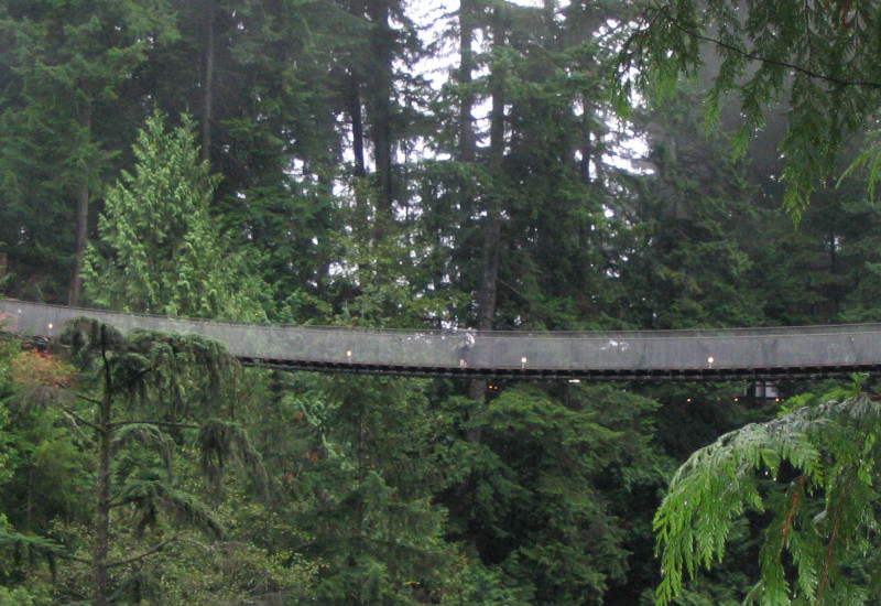 Suspension bridge
